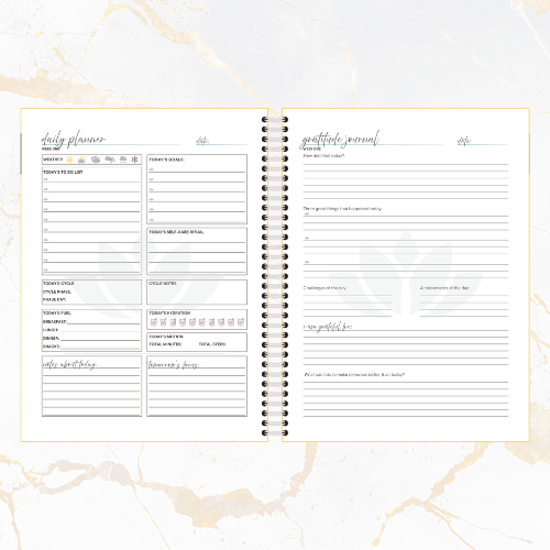 The Balanced Reset by Venvy Lab — Core Collection - Image 3