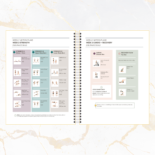 The Balanced Reset by Venvy Lab — Core Collection - Image 5