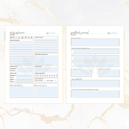The Daily Reset Guide (Digital) - Image 2